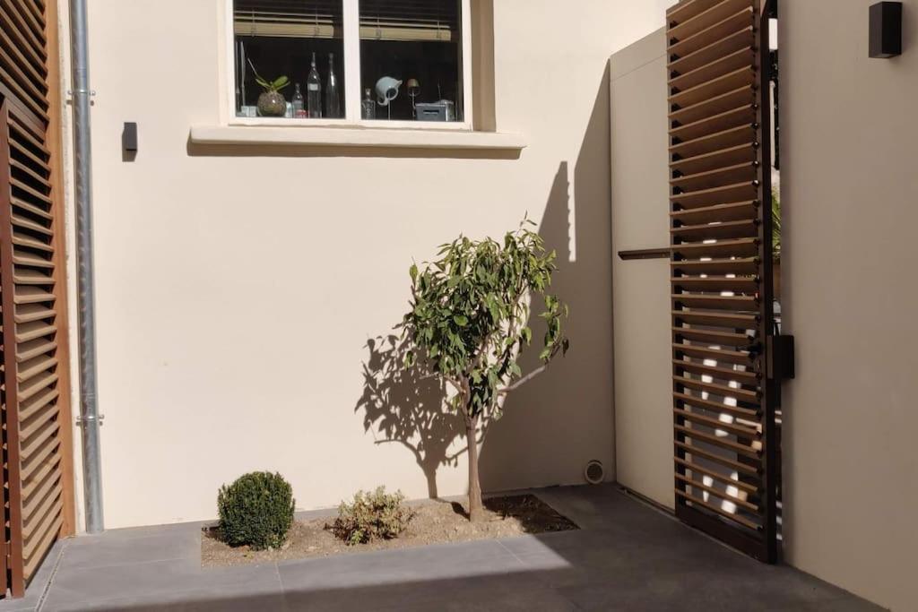 La Maison De Colette - Coeur De Village Cuxac-d'Aude Ngoại thất bức ảnh